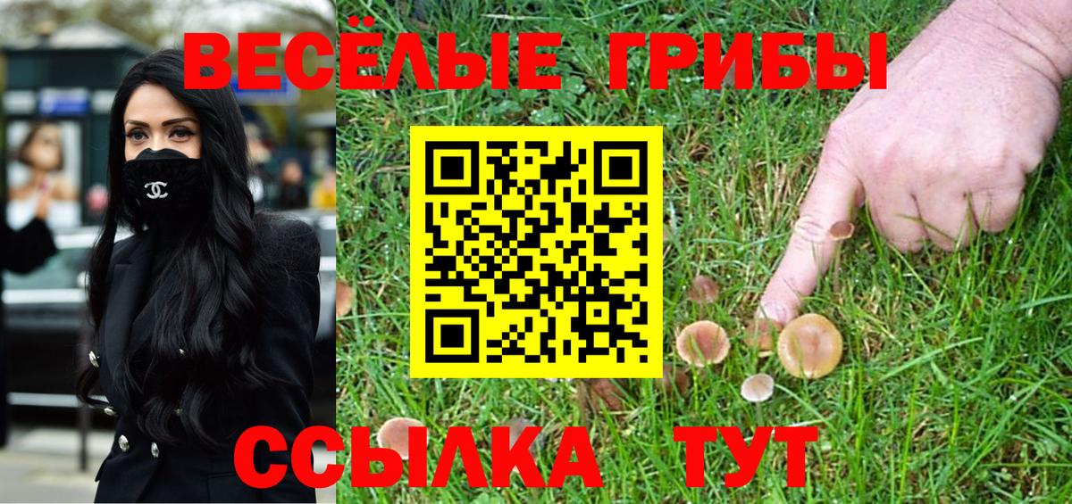 Галлюциногенные грибы Psilocybe  Вход с VPN  Псилоцибиновые грибы Cubensis  Ялта 