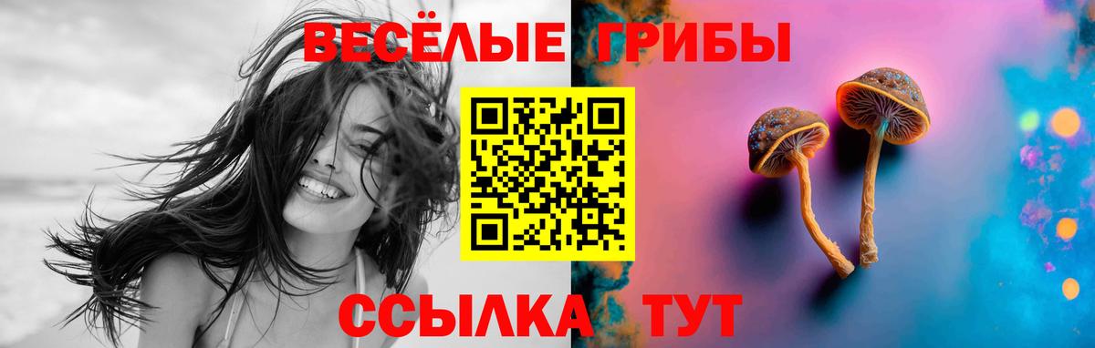 Галлюциногенные грибы Psilocybe Ялта